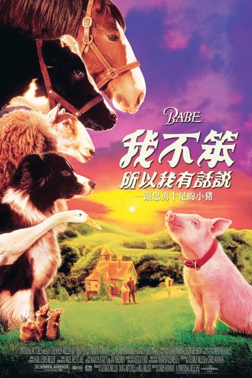 我不笨，所以我有話說