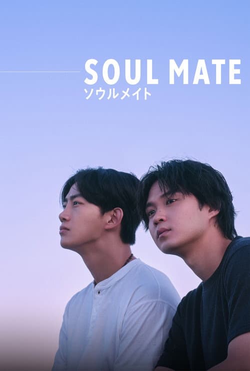 โซล เมท