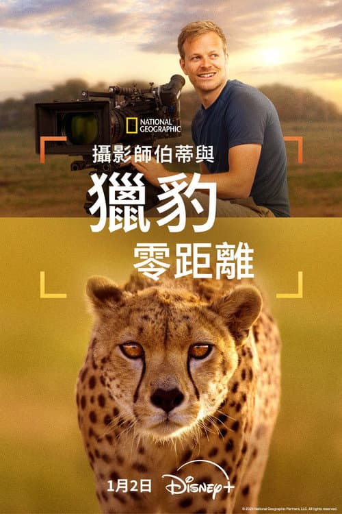 攝影師伯蒂與獵豹零距離