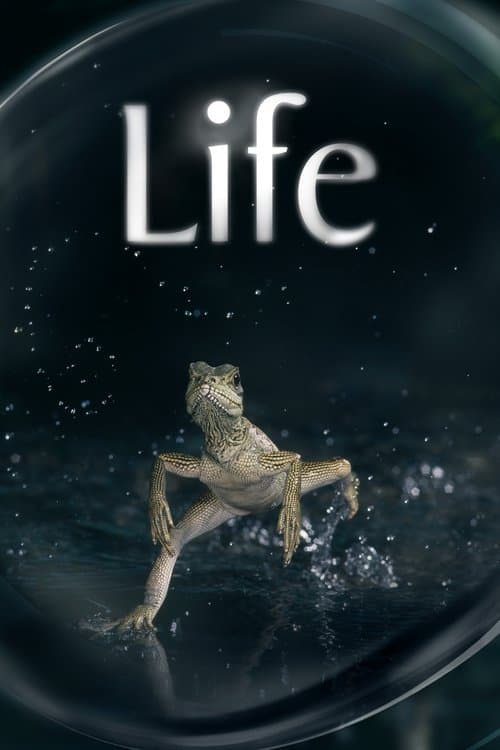 Life อัศจรรย์แห่งชีวิต