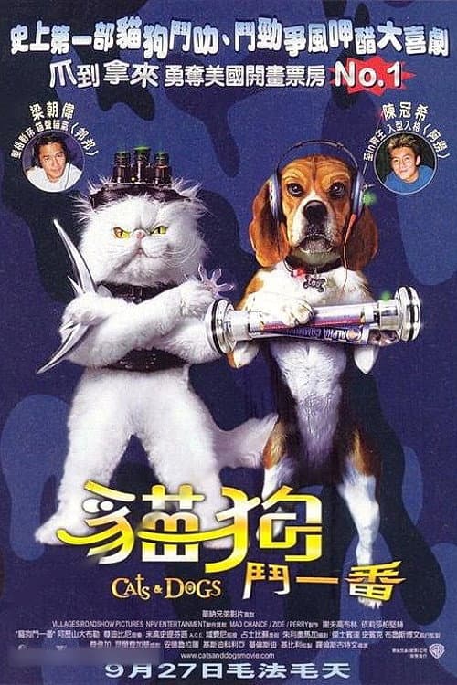 貓狗大戰