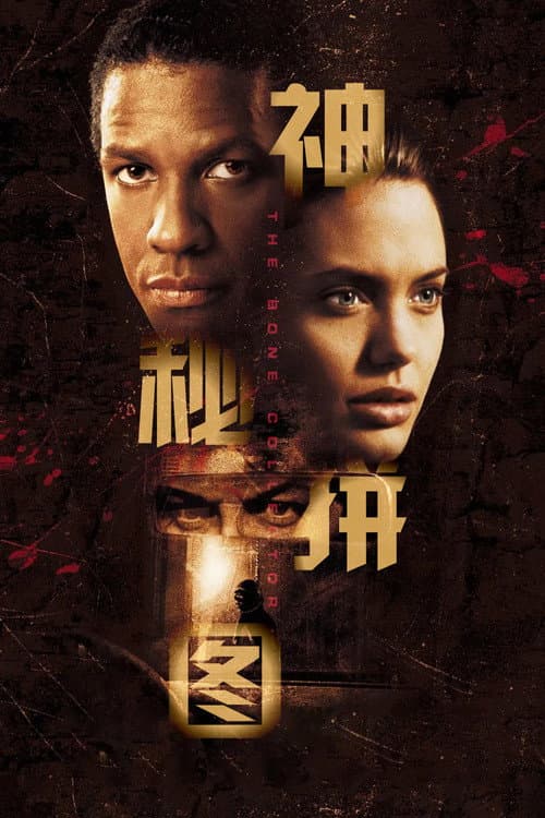 人骨拼圖