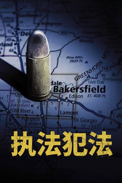 執法犯法