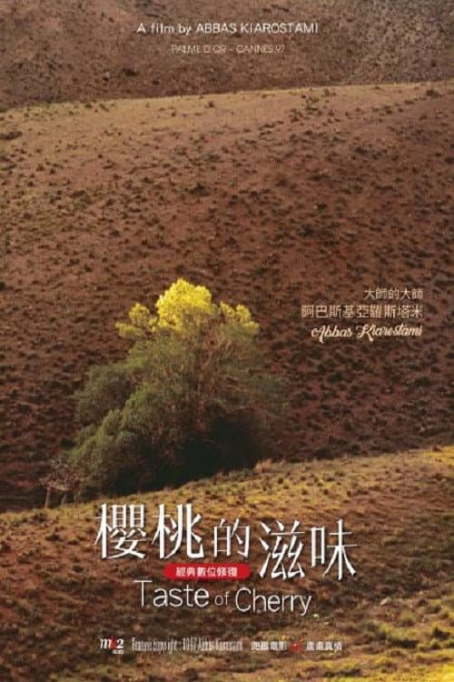 櫻桃的滋味