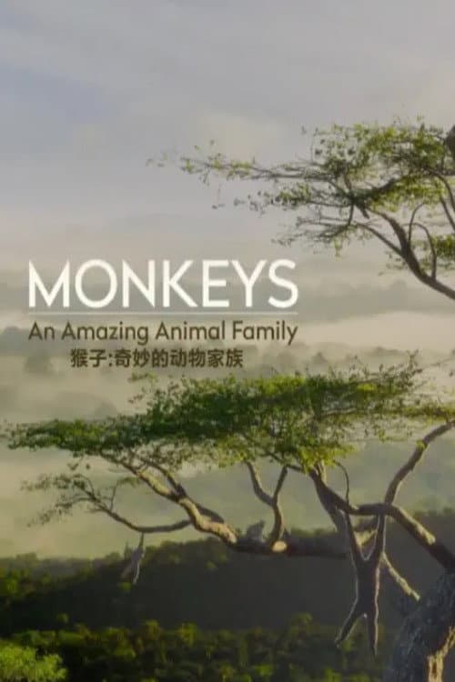 Monkeys: An Amazing Animal Family