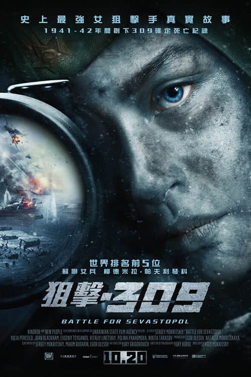 狙擊.309