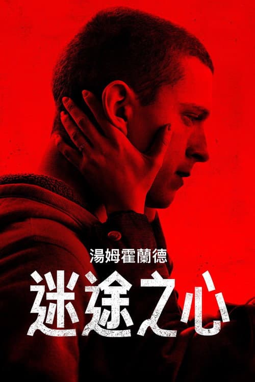 迷途之心