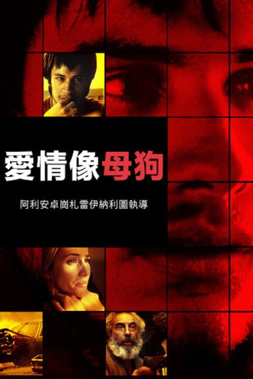 愛是一條狗