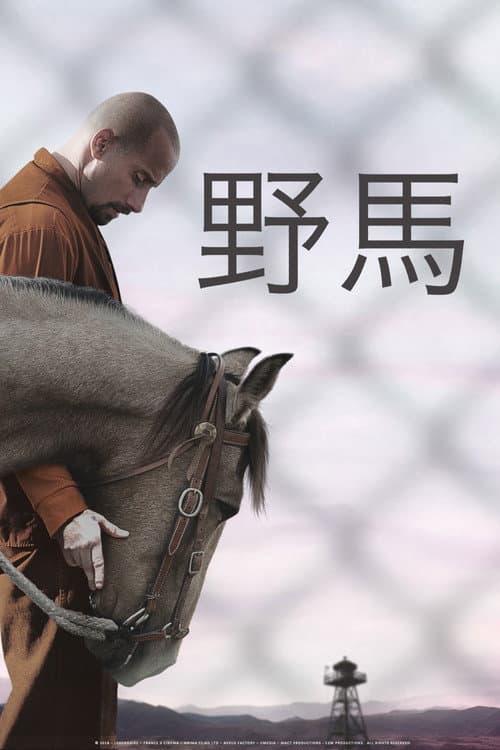 野馬