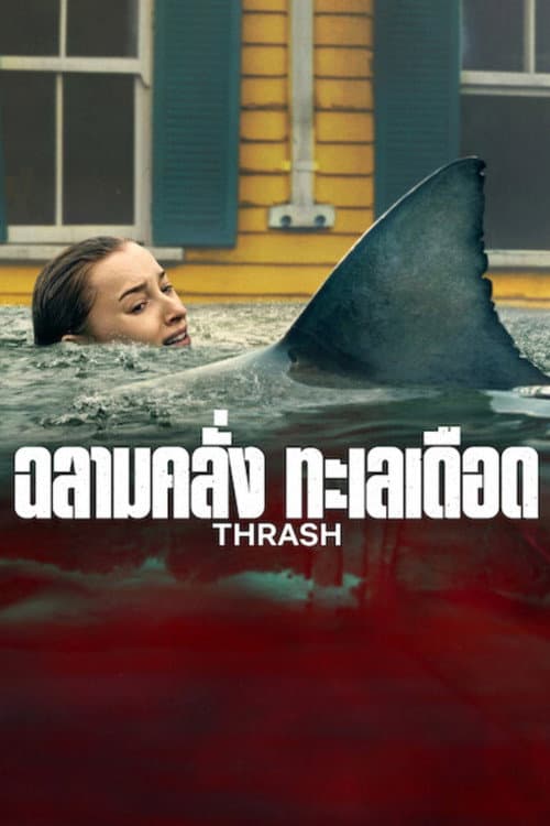 ฉลามคลั่ง ทะเลเดือด