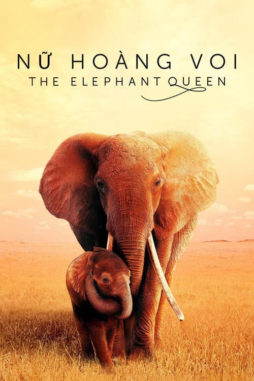 Nữ Hoàng Voi - The Elephant Queen