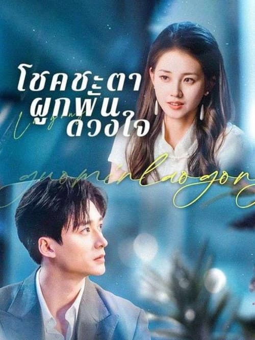สามีแห่งชาติของฉัน