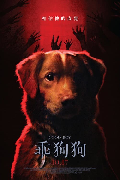 乖狗狗