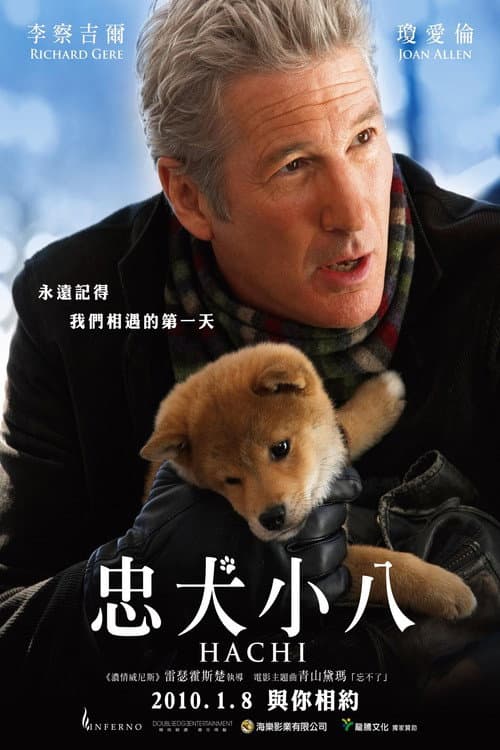 忠犬小八