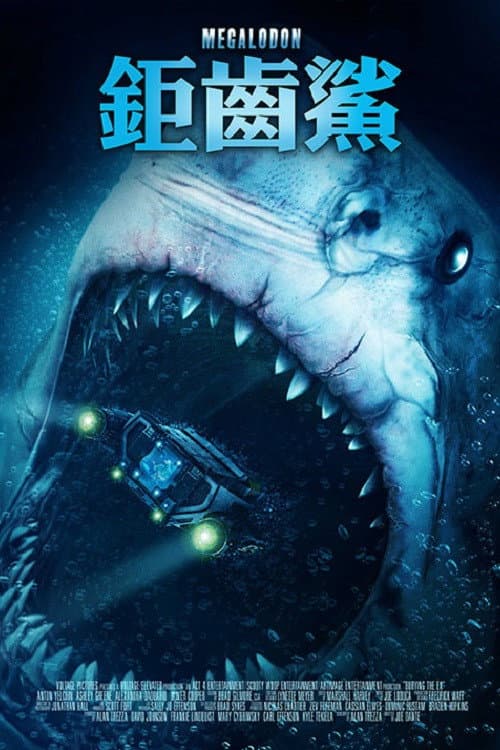 鉅齒鯊