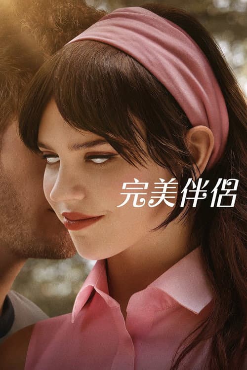 完美伴侶