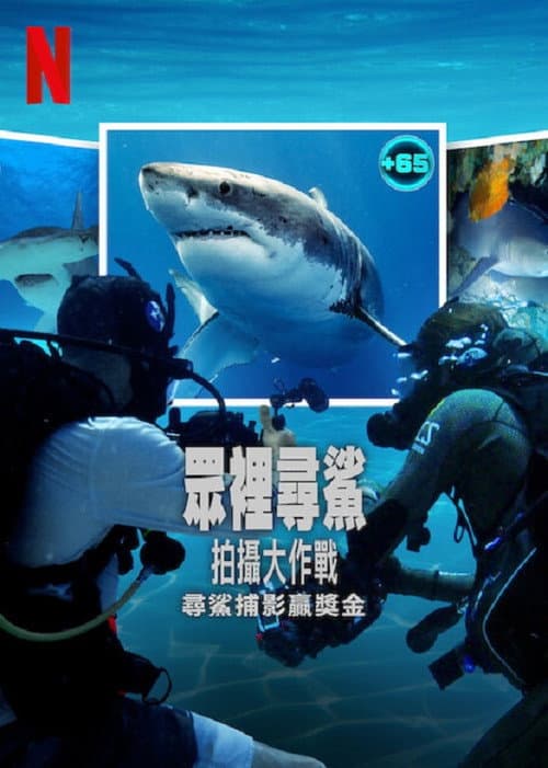 眾裡尋鯊：拍攝大作戰
