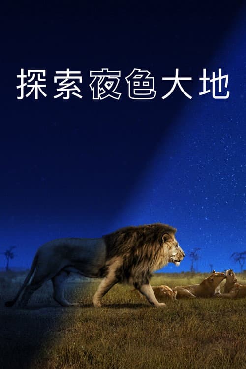 探索夜色大地