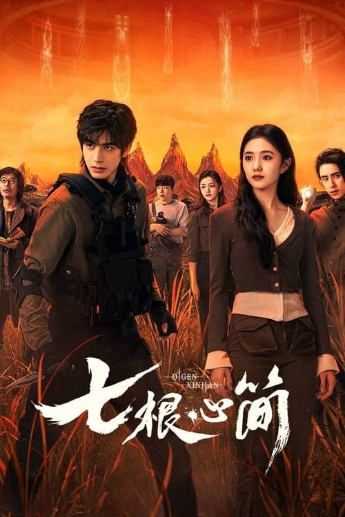 七根心簡