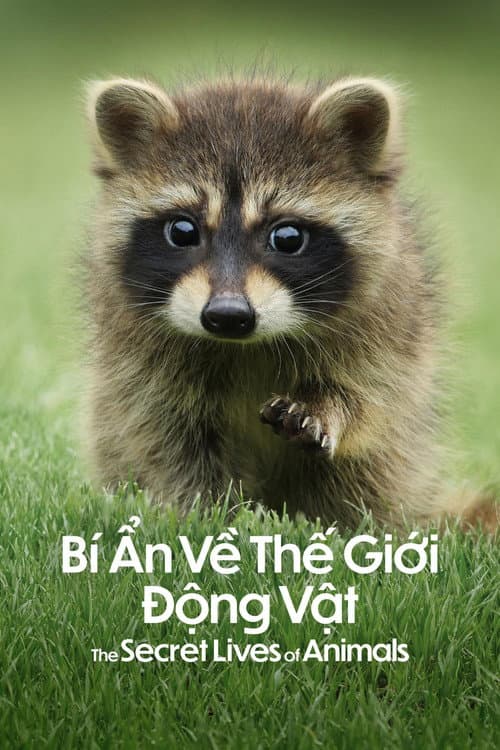 Bí Ẩn Về Thế Giới Động Vật - The Secret Lives of Animals