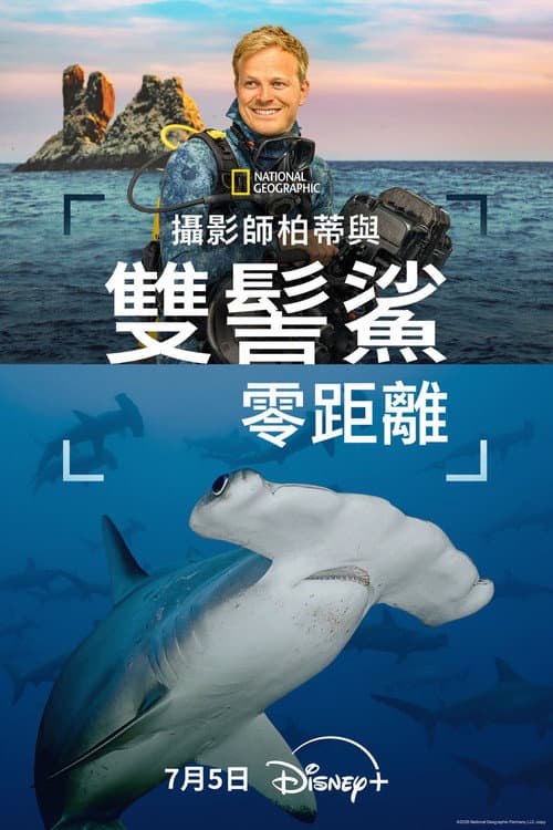 攝影師伯蒂與雙髻鯊零距離