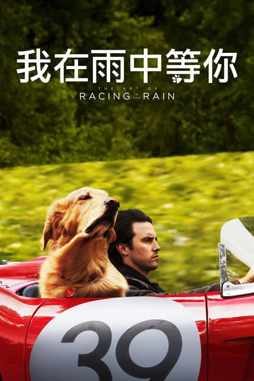 我在雨中等你