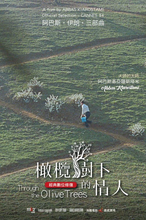 橄欖樹下的情人