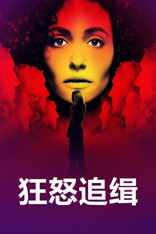 狂怒追緝