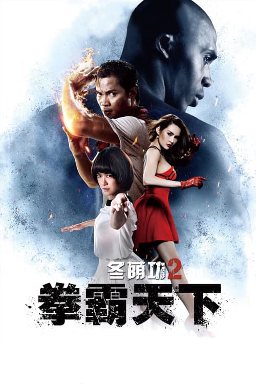 冬蔭功2