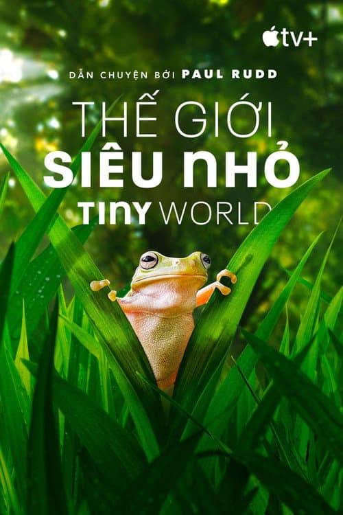 Thế Giới Siêu Nhỏ - Tiny World