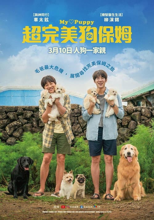 超完美狗保姆