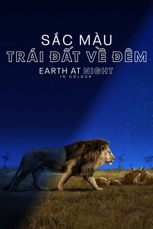 Sắc Màu Trái Đất Về Đêm - Earth at Night in Colour