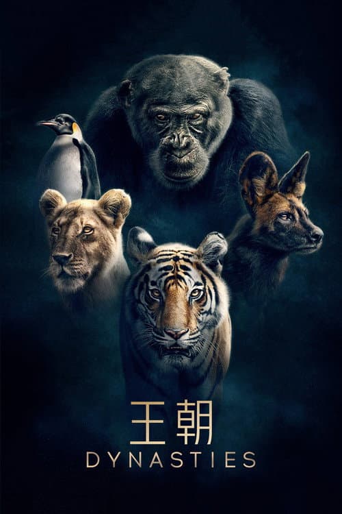 王朝