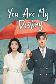 You Are My Destiny
