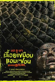 บอ ยู นา เลื้อยเขมือบแอมะซอน
