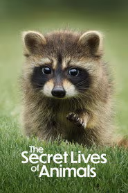 The Secret Lives of Animals