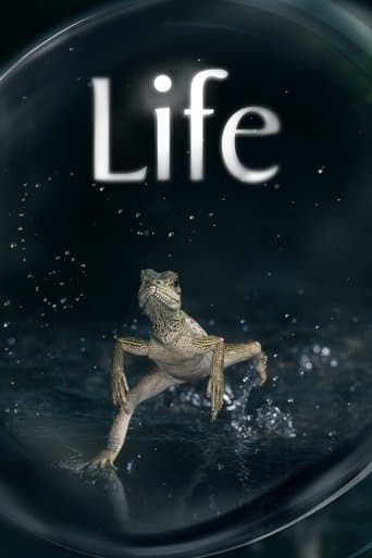 Life อัศจรรย์แห่งชีวิต
