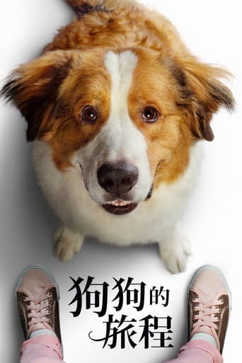狗狗的旅程
