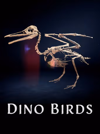 Dino Birds