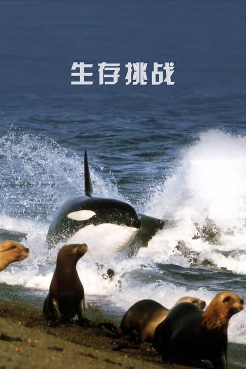 BBC 生命的起源