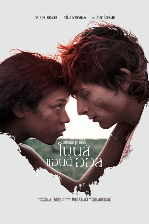 โบนส์ แอนด์ ออล