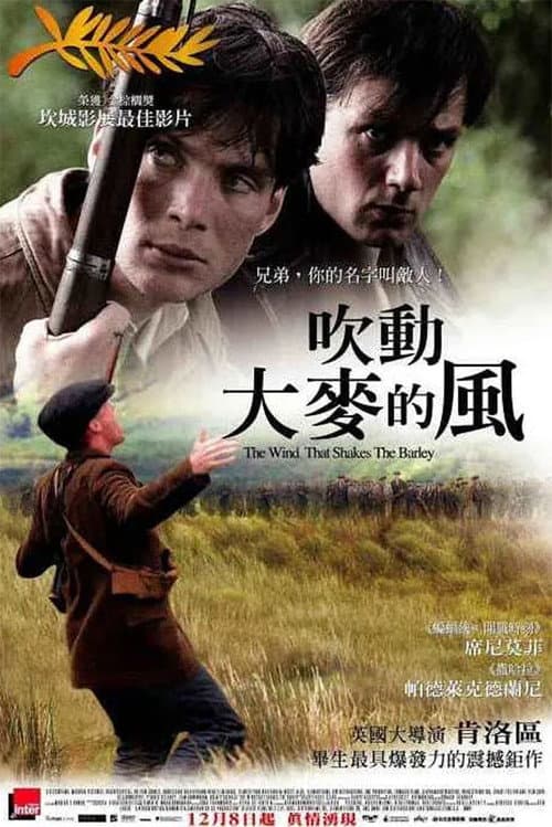 吹動大麥的風