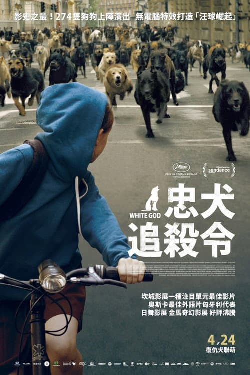 忠犬追殺令