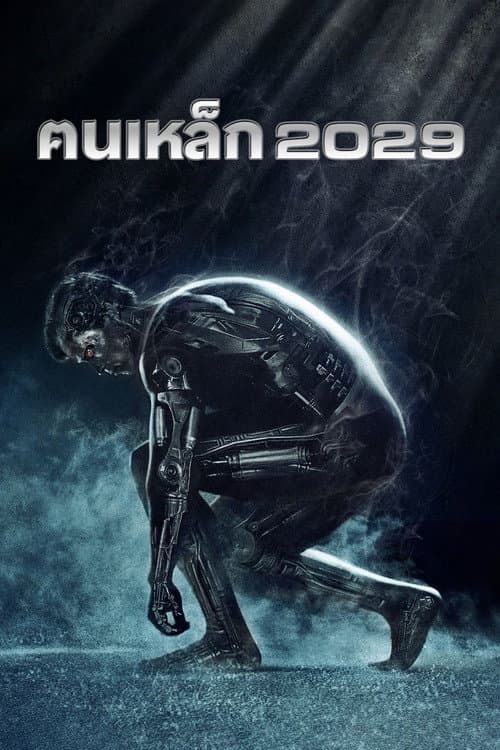 ฅนเหล็ก 2029
