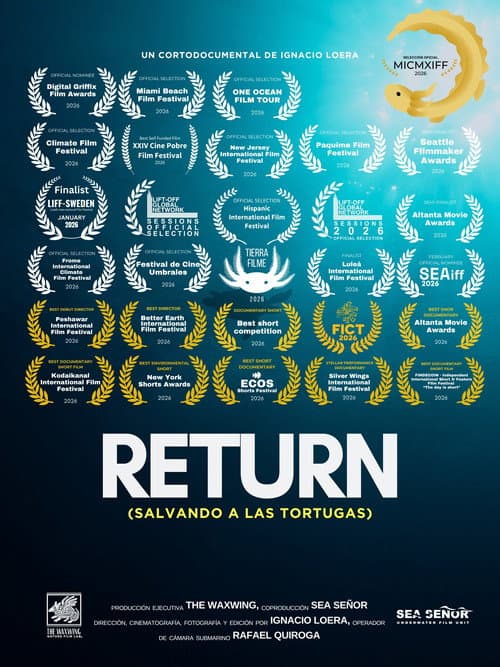 Return: Saving Turtles