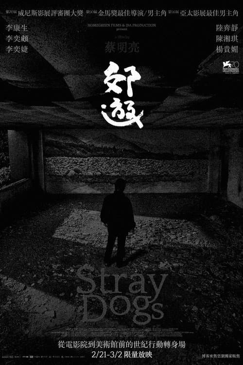 Stray Dogs